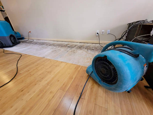 Professional Structural Drying technician working in Franklin, WI
